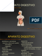 Aparato digestivo