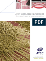 ATCC - Animal Cell Culture Guide PDF