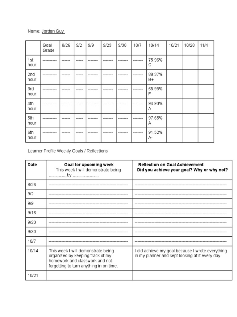 Student Progress and Goals Tracker | PDF | Business | Computers
