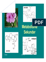 Metabolit Sekunder PDF