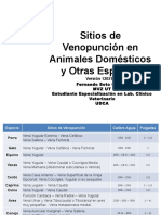 Sitios de Venopunción en Animales Domésticos y Otras Especies