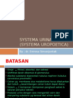 Histologi - Systema Urinary