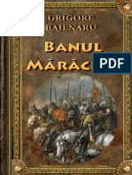 banul maracine.pdf