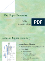 The Upper Extremity: Sufitni Megasari Sitorus