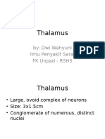 Thalamus