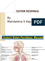 anatomi respirasi 2.ppt