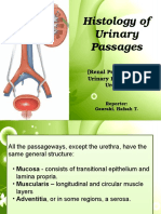  Urinary Passages