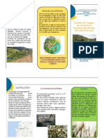 Triptico Ecologia PDF