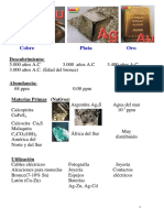 Trans Grupo11 PDF