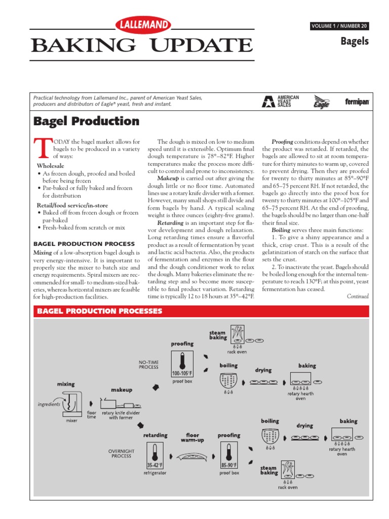 Bagel Production | Download Free PDF | Breads | Yeast