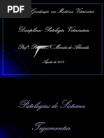 Funorte 1 - Patologias Do Sistema Tegumentar