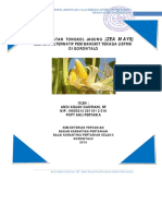 PEMANFAATAN TONGKOL JAGUNG Zea Mays SEBA PDF