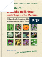 Praxisbuch Westliche Heilkraeuter Und Chinesische Medizin Auszug_2010!12!14