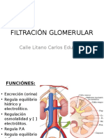 Fisiologia Filtracion Glomerular