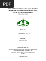 Download Proposal Evaluasi Program TB - Pela Mampang II by Ashrinda Jussinur SN339096235 doc pdf