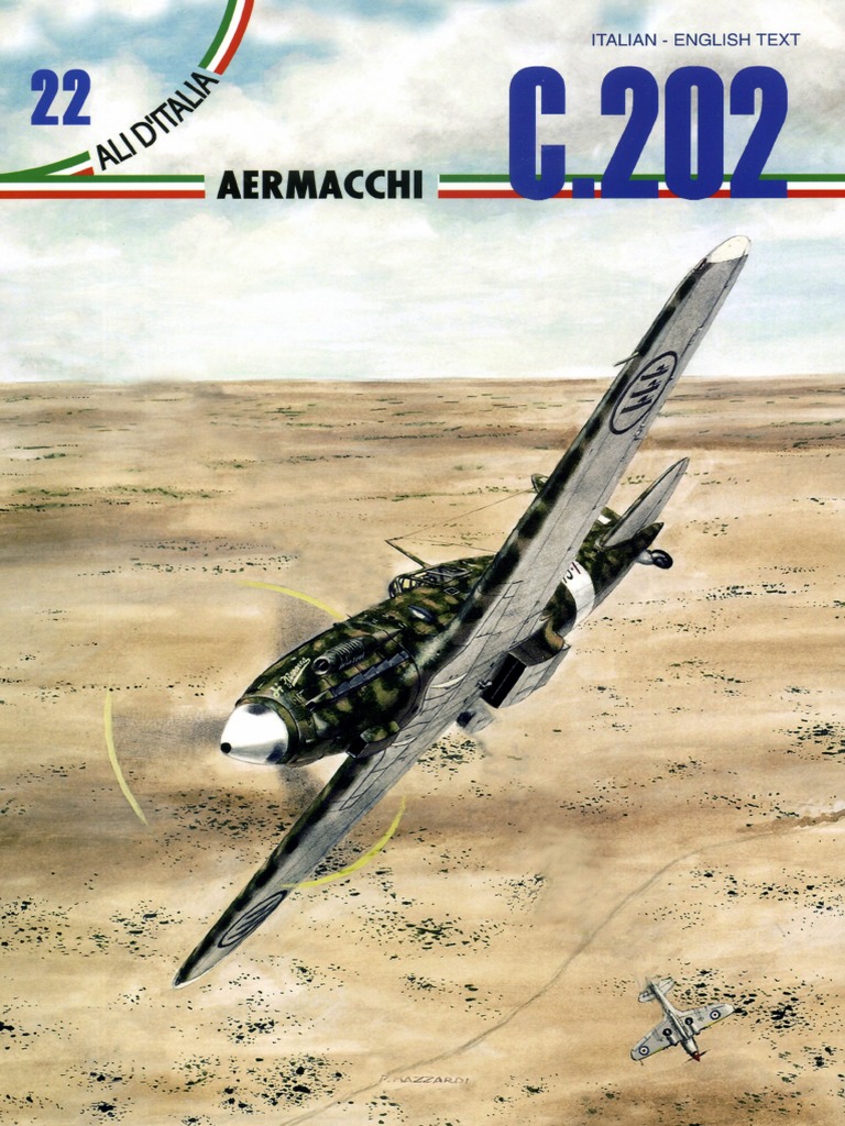 Ali D'italia 22 - Macchi C-202 | PDF | Troubles