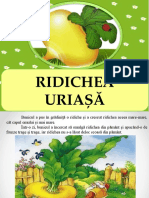 Ridichea uriasa