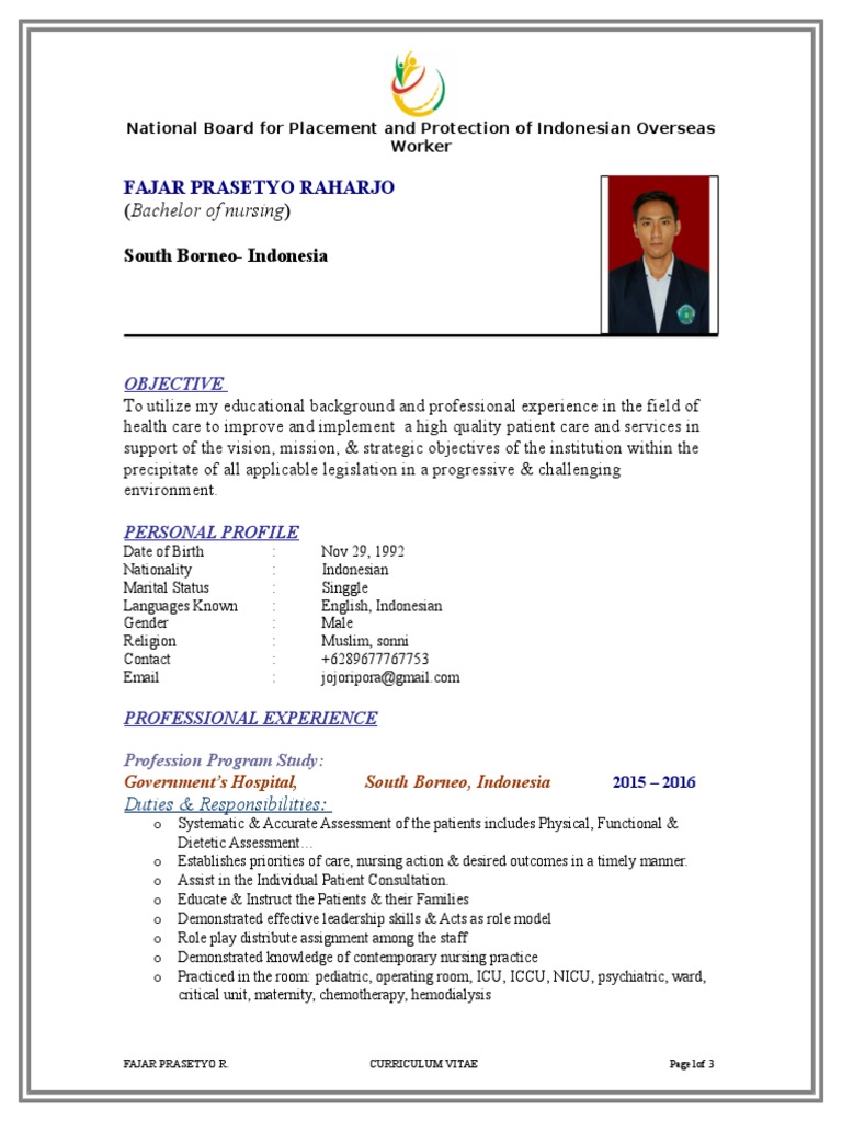 Contoh Cv Bahasa Inggris International Red Cross And Red Crescent Movement Nursing