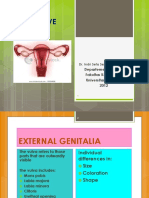 Female Reproductive Anatomy translete.pdf