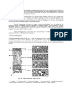 Suprarenal e