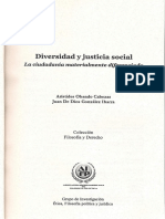 Diversidad y Justicia Social, La Ciudadania Materialmente Diferenciada