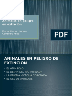 Animales en Peligro en Extinción