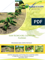 GUIA CULTIVO PLATANO 2011.pdf