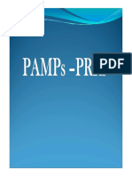 PAMPs_PRRs.pdf