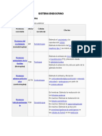 Sistema Endocrino