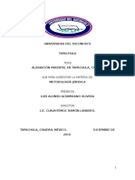 Tesis de Alienación Parental en Tapachula, Chiapas