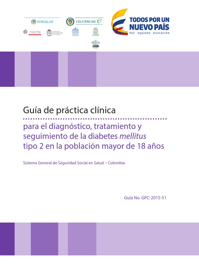 Diabetes Tipo 2 Guía de práctica clínica Diabetes mellitus Ciencias