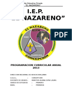 Programacion Curricular Anual 2013