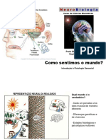 Aula14 .Fisiologia Sensoria Geral