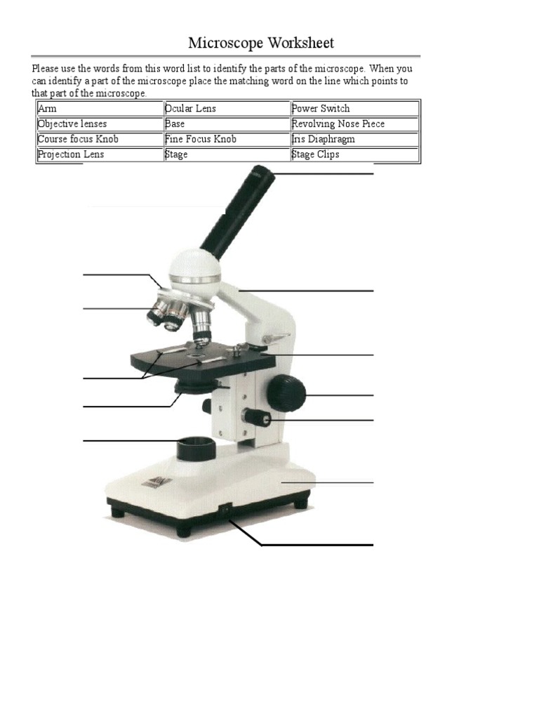 Parts Of A Microscope Worksheet Onlineworksheet.my.id