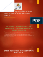 Inteligencia de Mercados e Investigación en Base de Datos