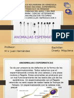 Anomalias Espermaticas