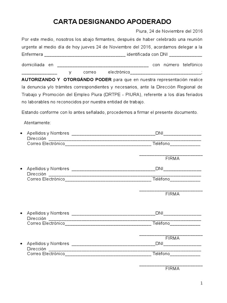 Carta de Designación de Apoderado | PDF | Gobierno | Política (general)