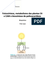 Aula - Fotossíntese