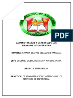 Administracion y Gerencia de Los Servicios de Enfermeria