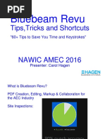 Bluebeam Revu