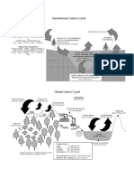 Carbon Fig PDF