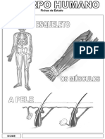 Descoberta de Si Mesmo - o Corpo Humano