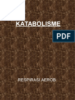 katabolisme-