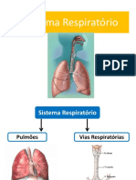 9.ppt.s.respiratorio_0