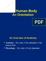 The Human Body: An Orientation