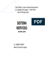 sistema nervoso