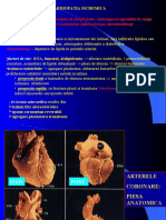 Cv - Curs 5 - Cardiopatia Ischemica