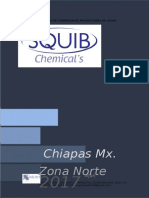Propuesta Para Canacintra Chiapas 2016