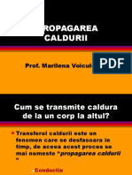 propagare_caldura