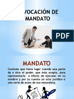 REVOCACIÓN DE MANDATO irene.pptx